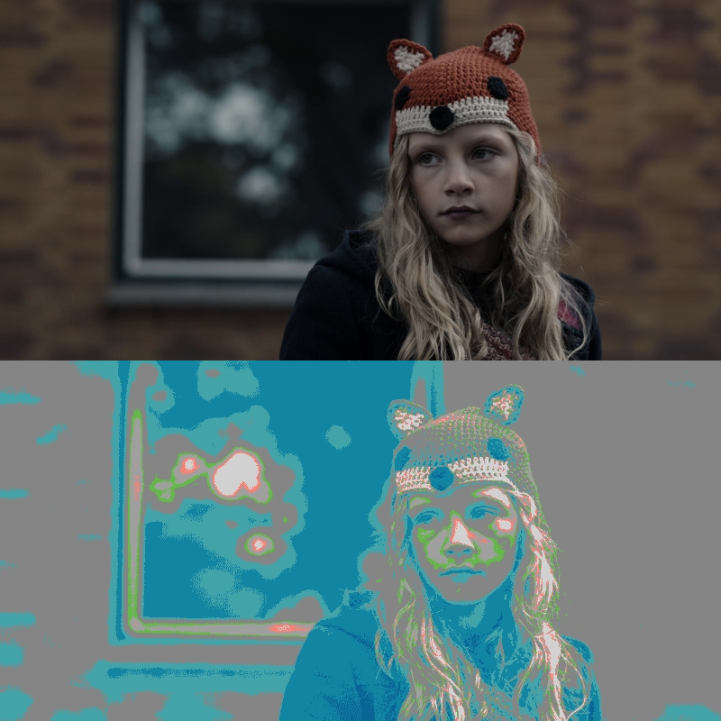False Color of