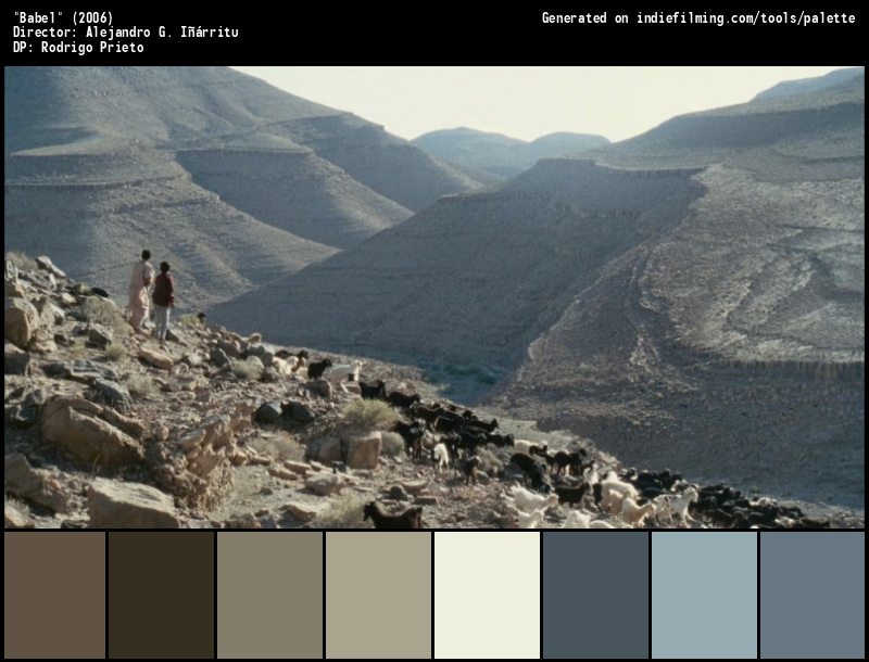 Color Palette of