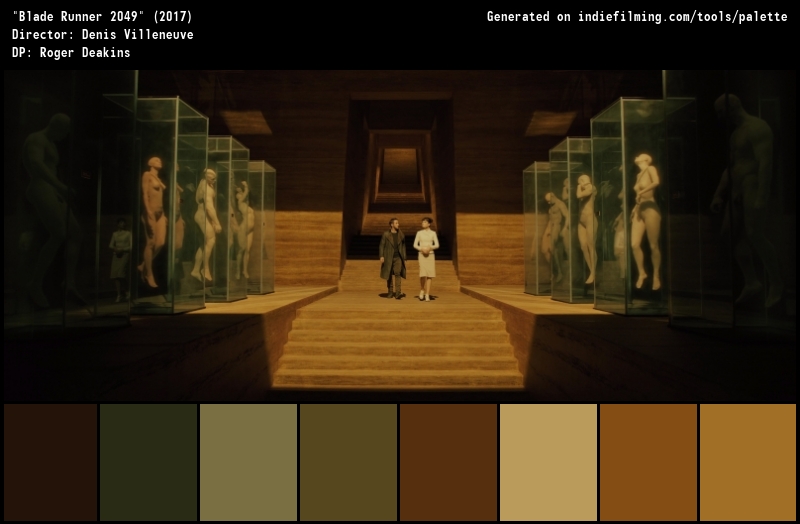 Color Palette of