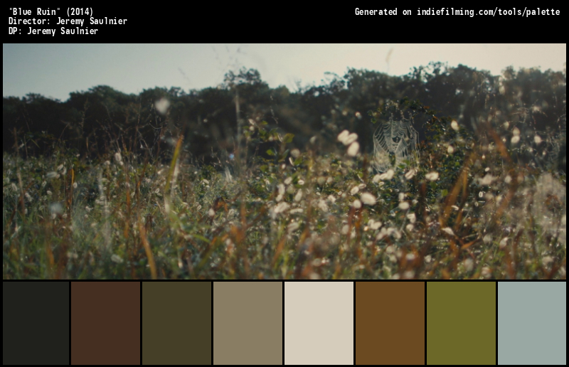 Color Palette of
