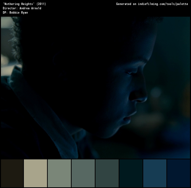 Color Palette of