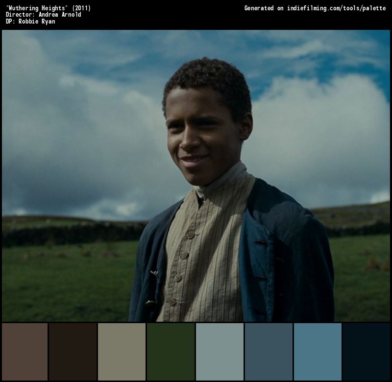 Color Palette of