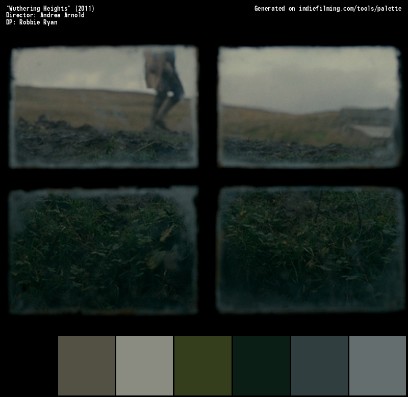 Color Palette of