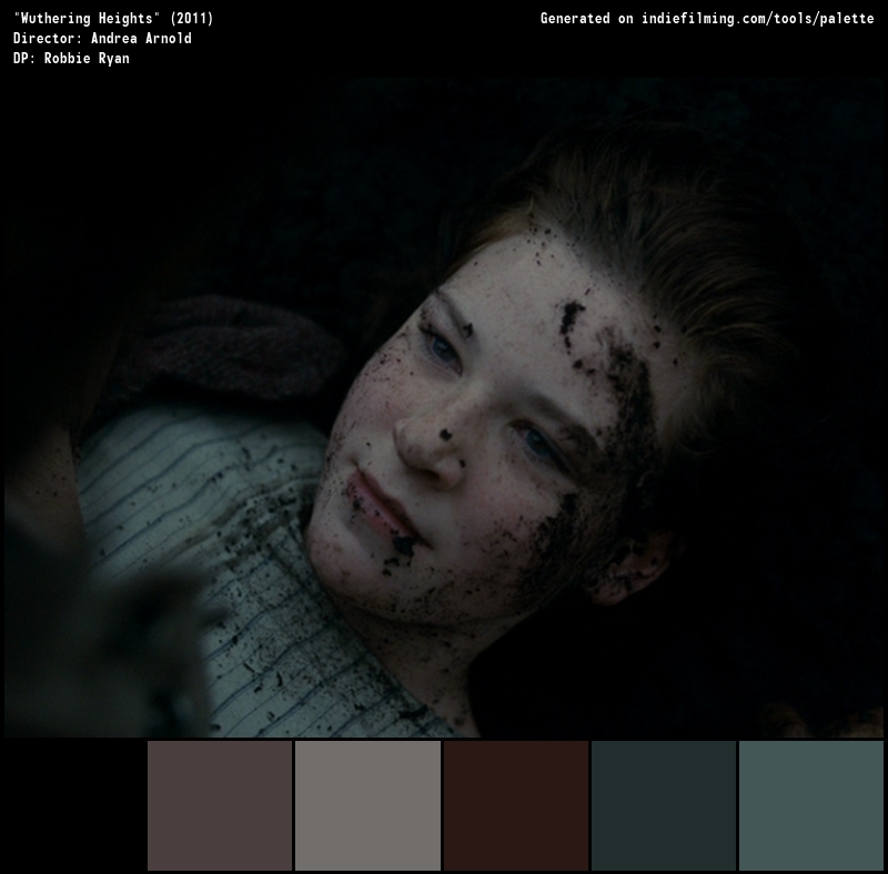 Color Palette of