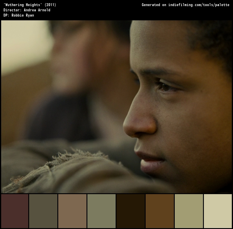 Color Palette of