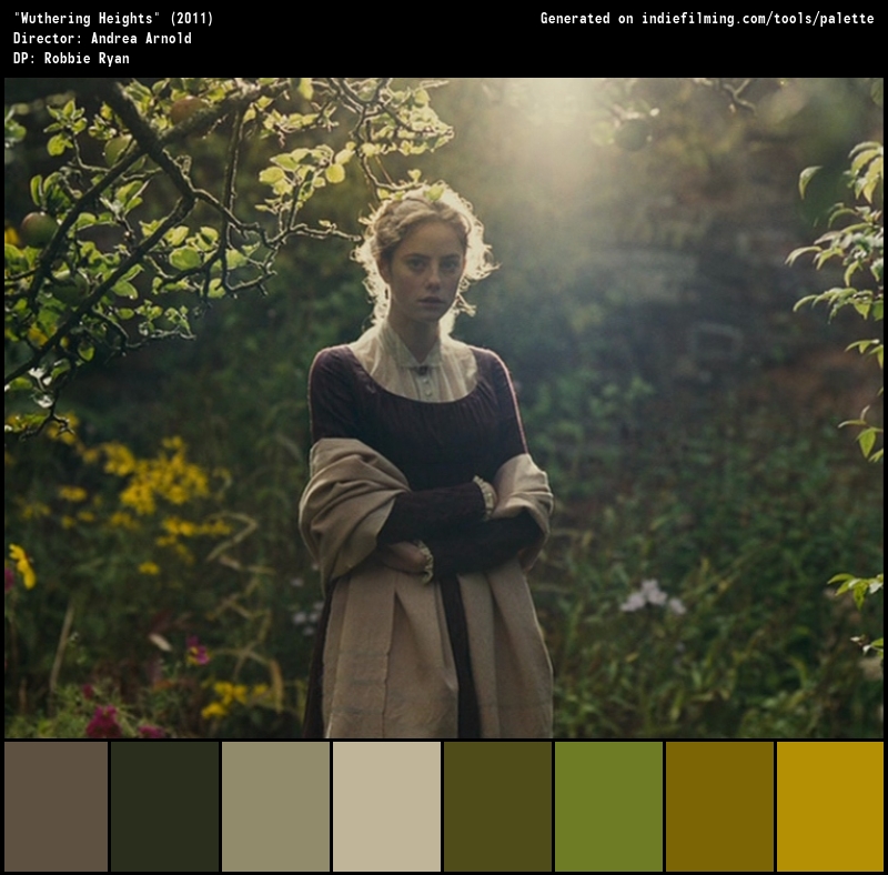 Color Palette of
