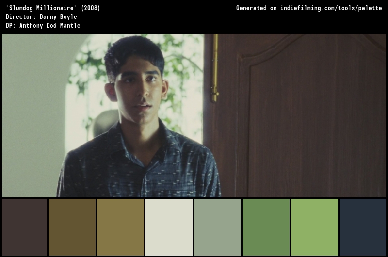 Color Palette of