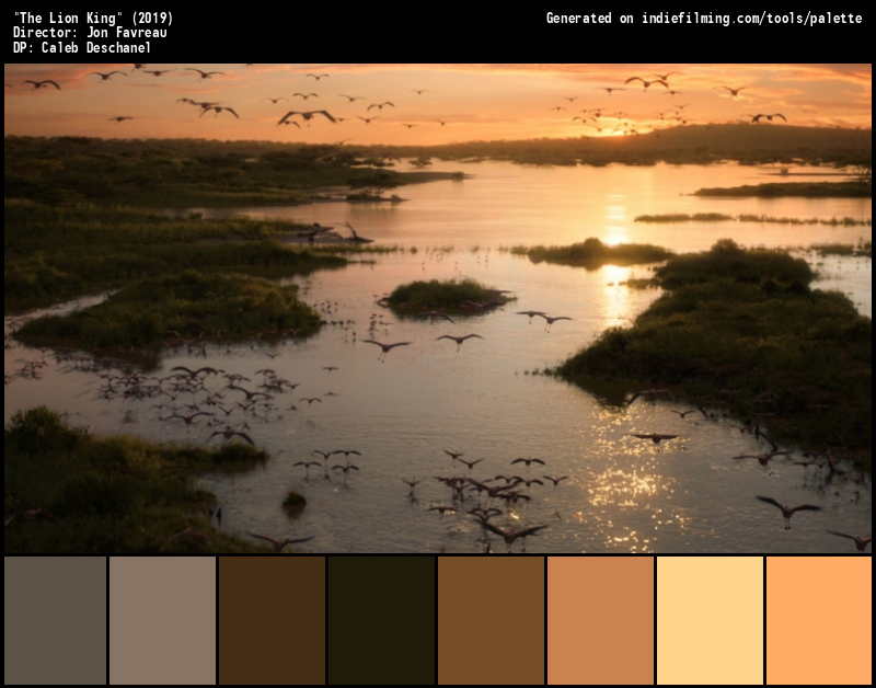 Color Palette of