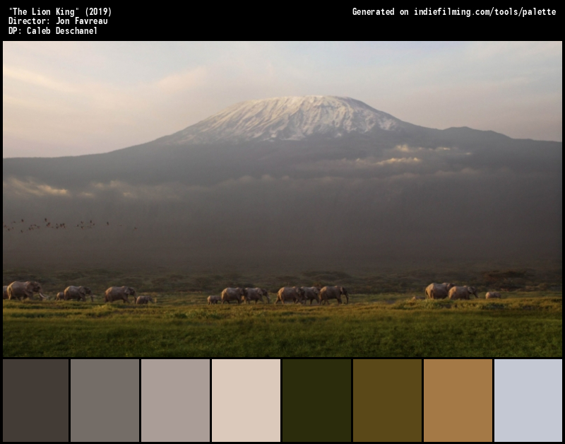 Color Palette of