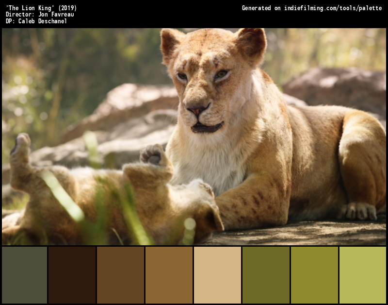 Color Palette of