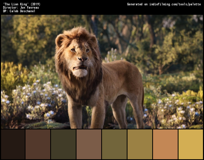 Color Palette of