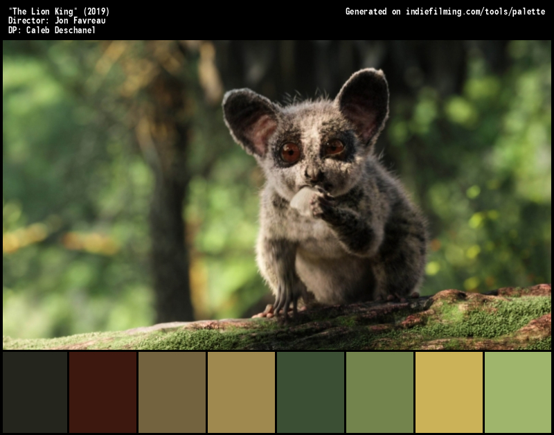Color Palette of