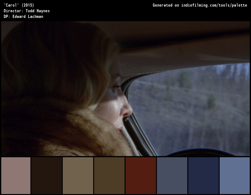 Color Palette of