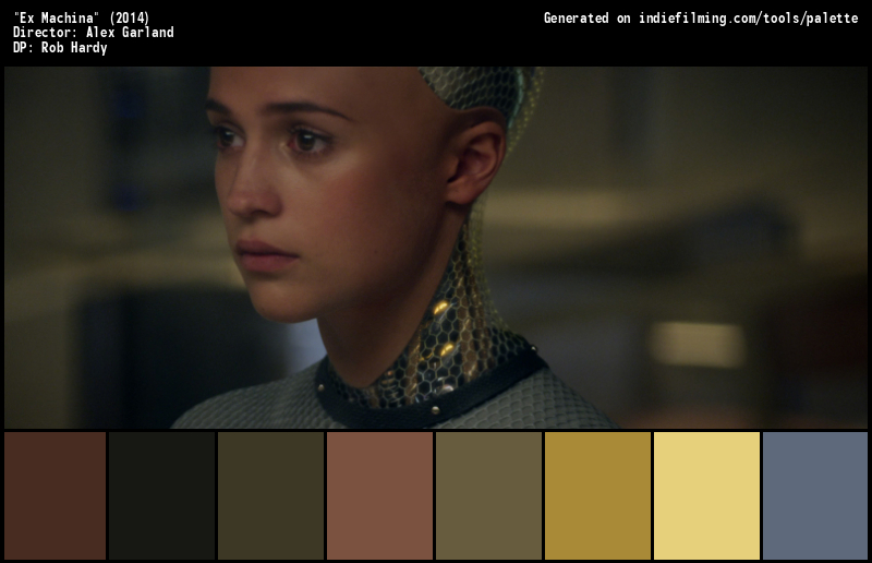 Color Palette of