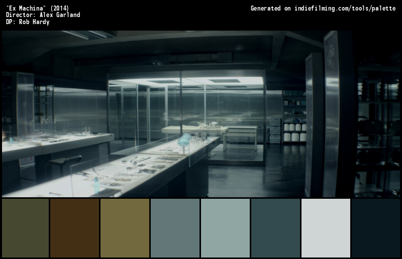 Color Palette of