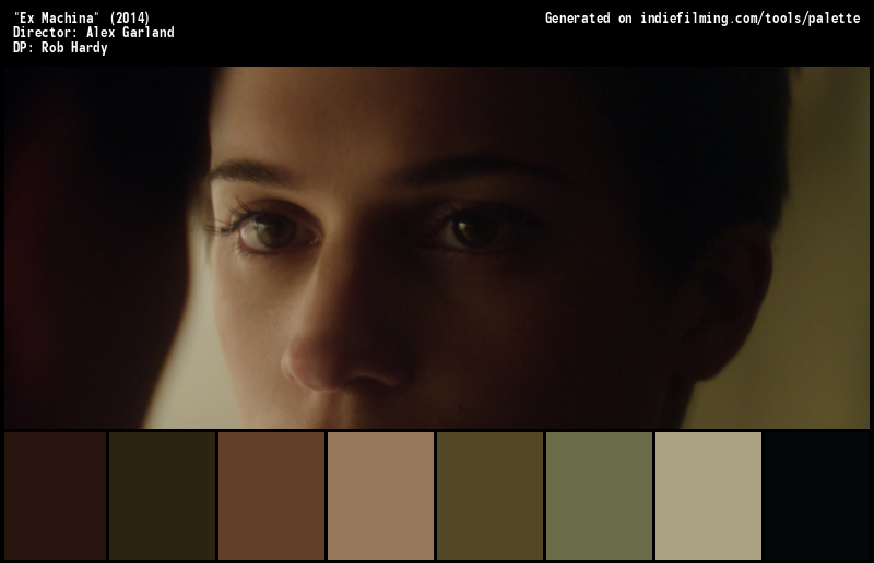 Color Palette of