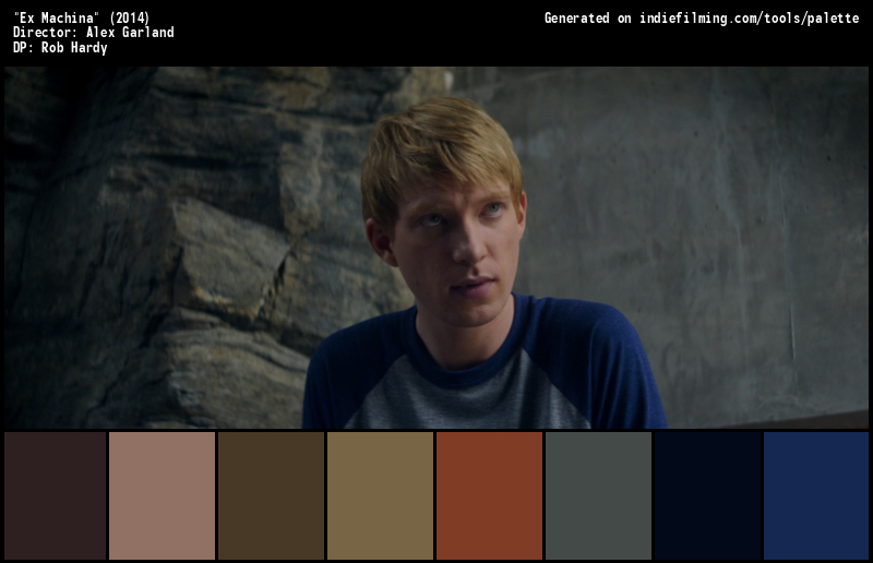 Color Palette of