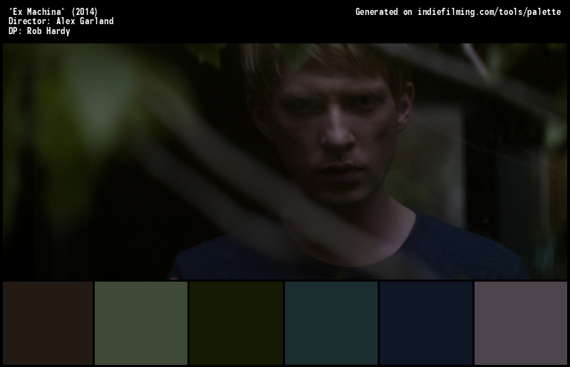 Color Palette of