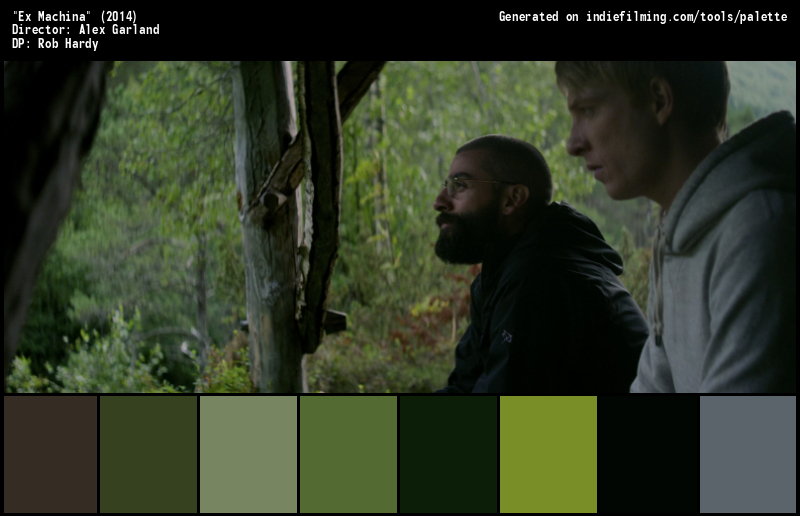 Color Palette of