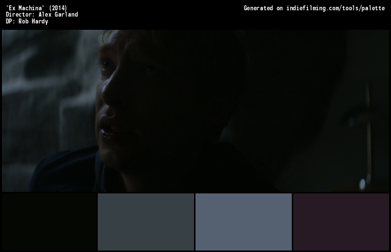 Color Palette of