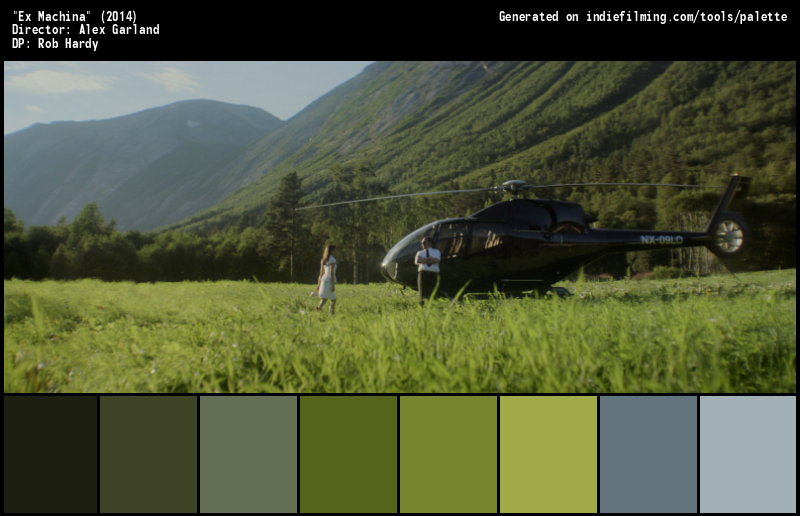 Color Palette of