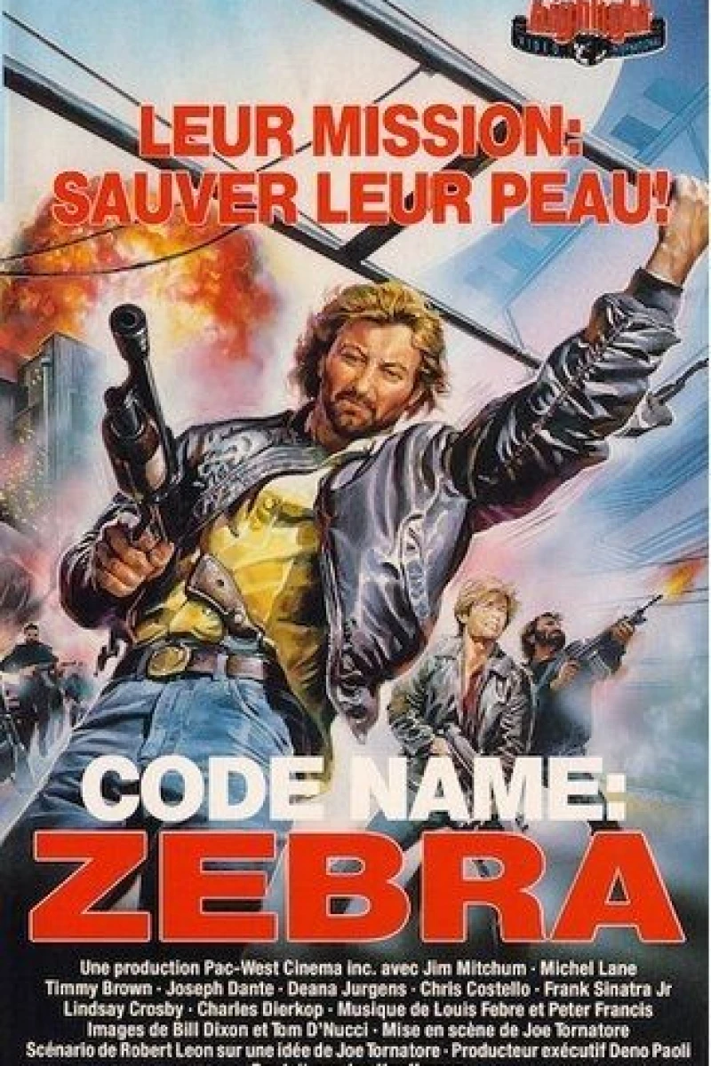 Code Name Zebra (1987)