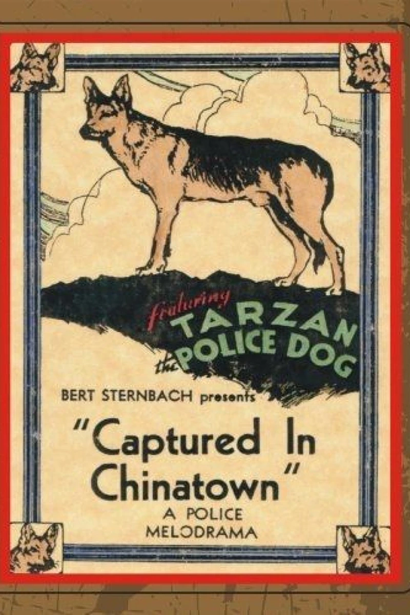 Captured in Chinatown (1935)