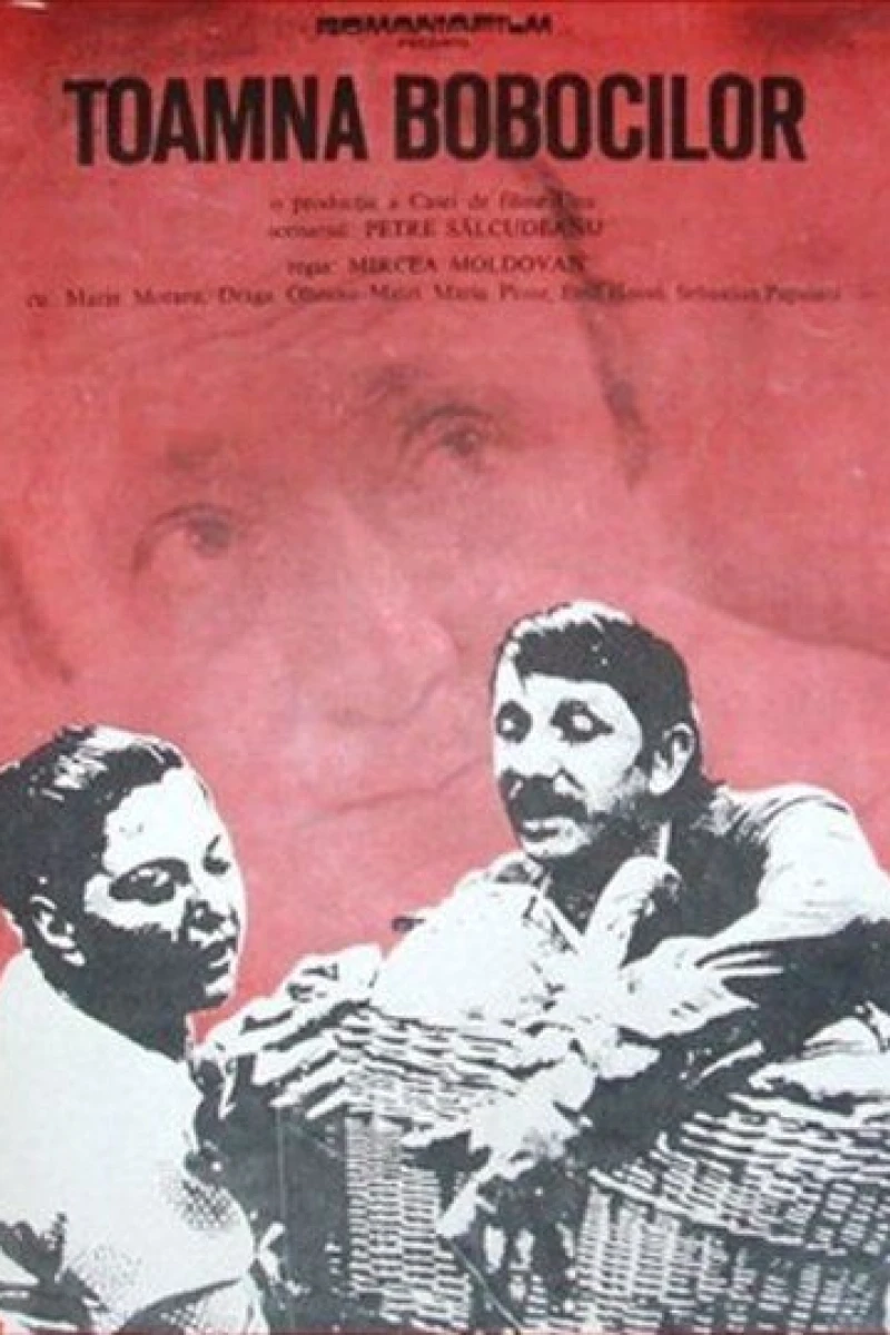 Toamna bobocilor (1975)