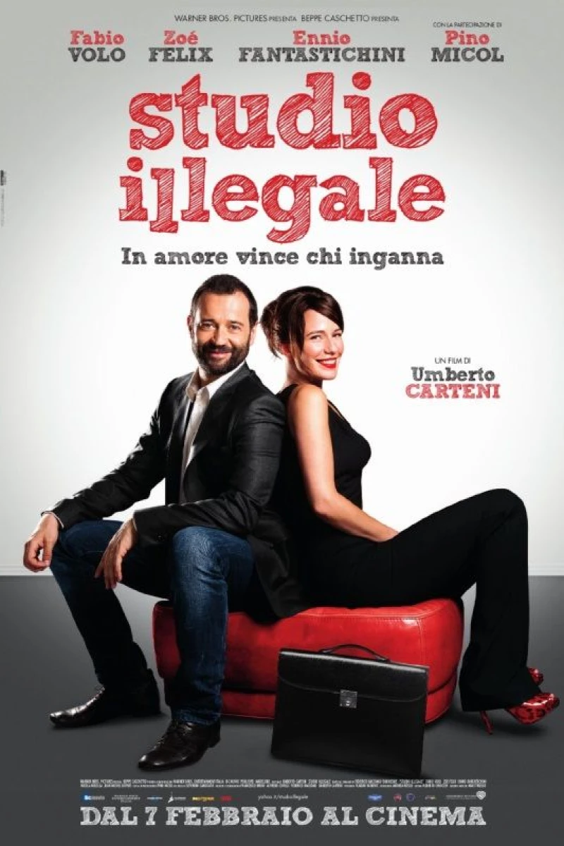Studio illegale (2013)
