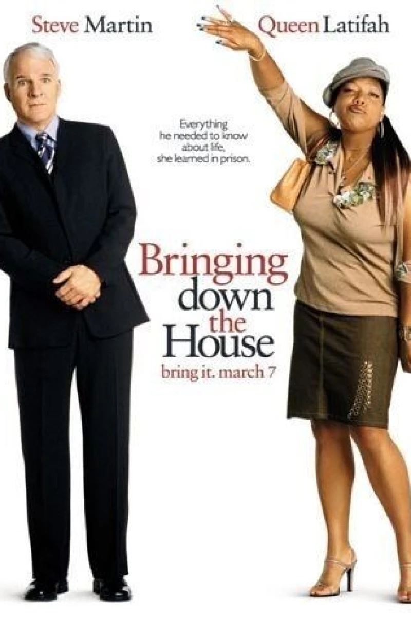 Bringing Down the House (2003)
