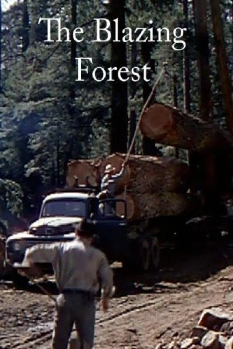 The Blazing Forest (1952)