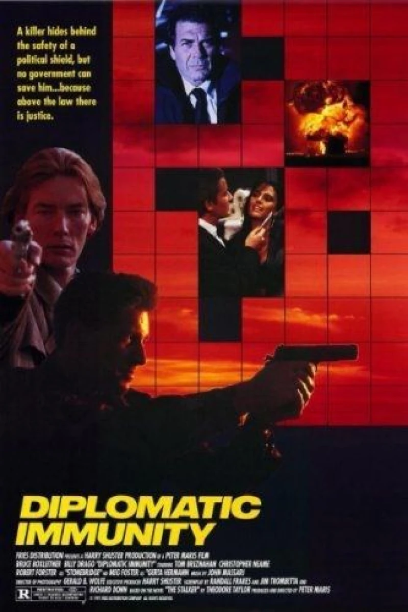 Diplomatic Immunity (1991)