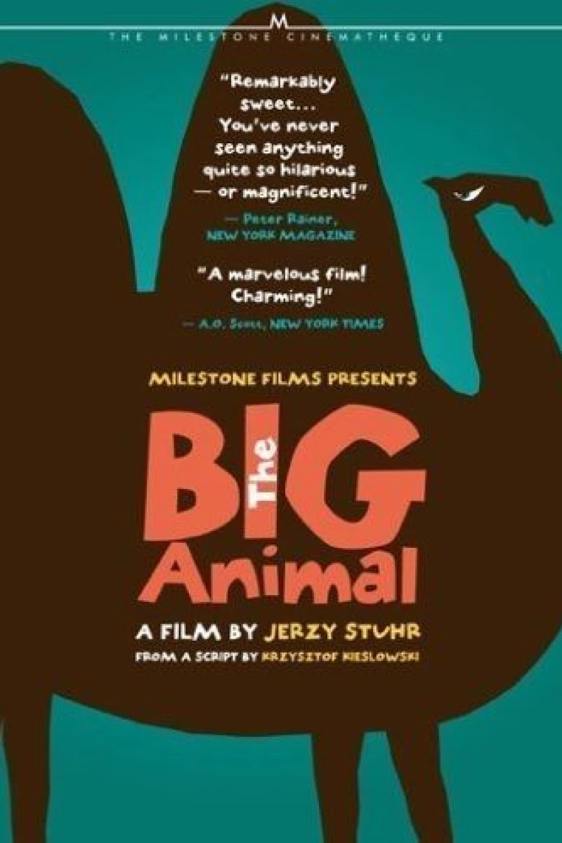 Big Animal (2000)