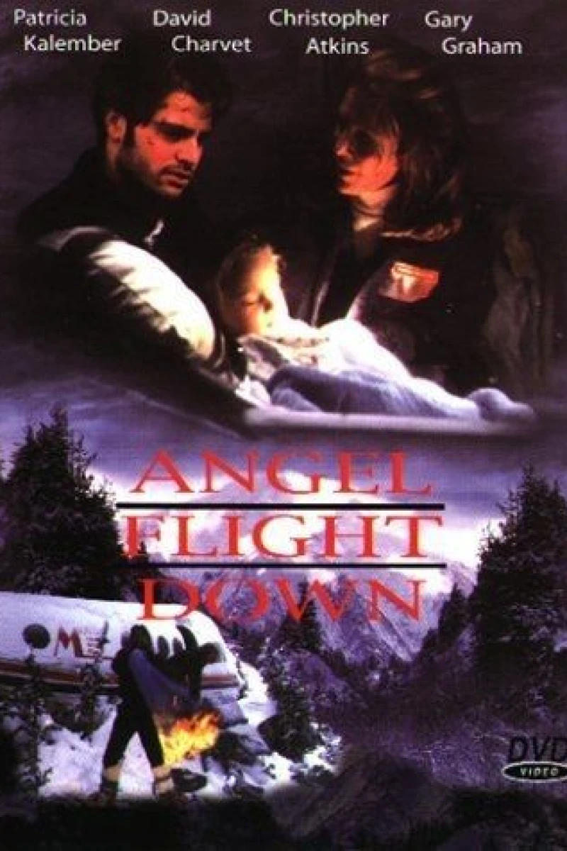 Angel Flight Down (1996)