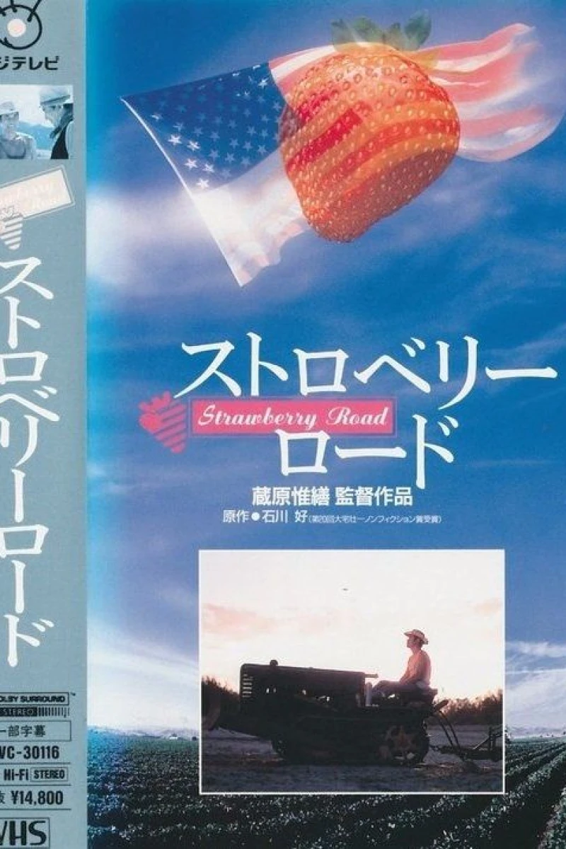 Strawberry Road (1991)