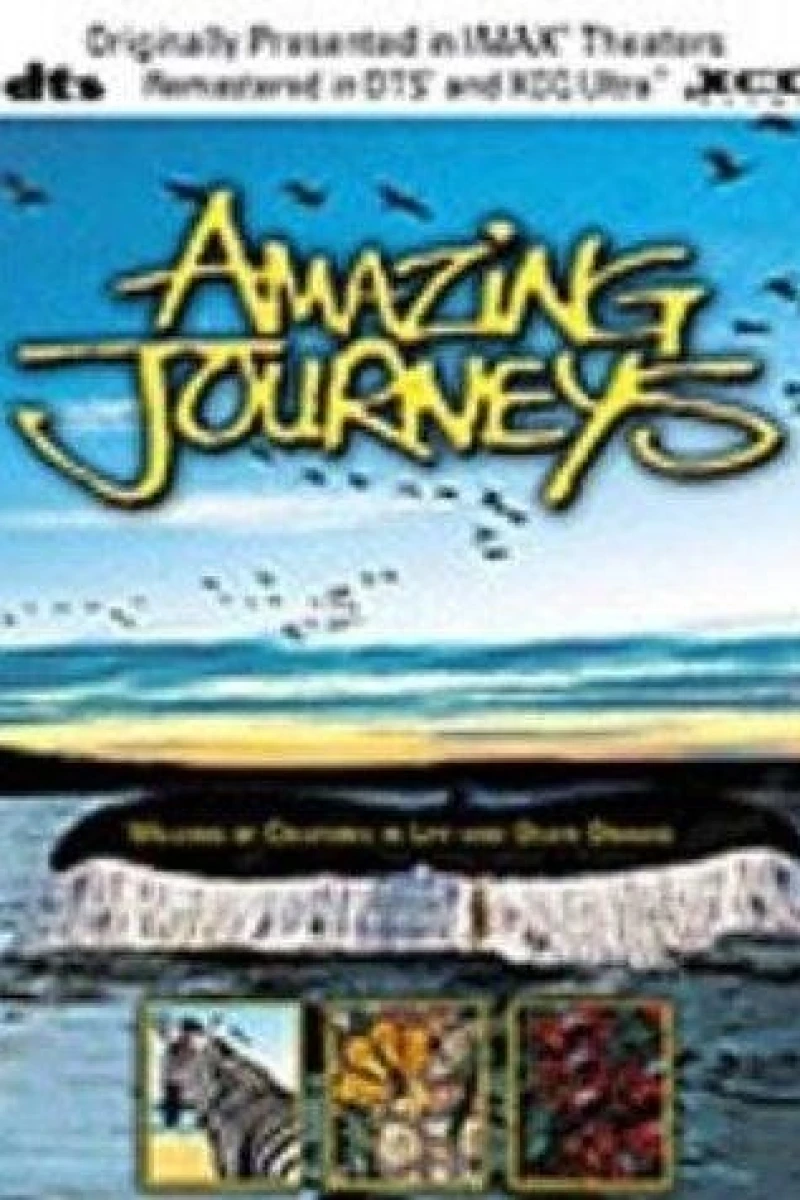 Amazing Journeys (1999)