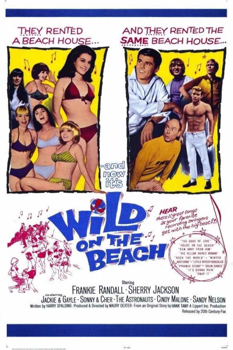 Wild on the Beach (1965)