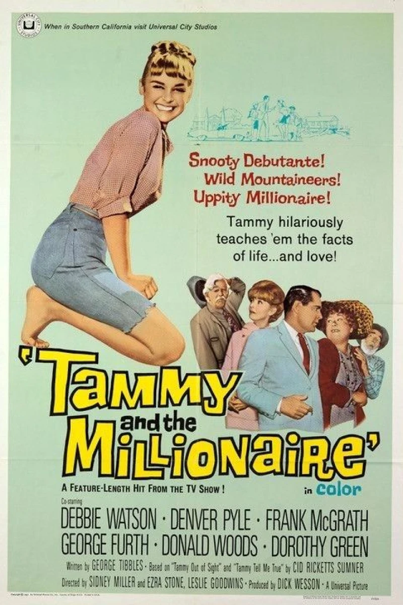 Tammy and the Millionaire (1967)
