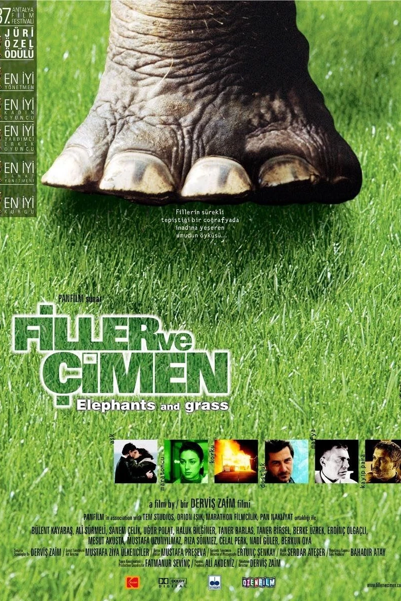 Filler ve Çimen (2000)