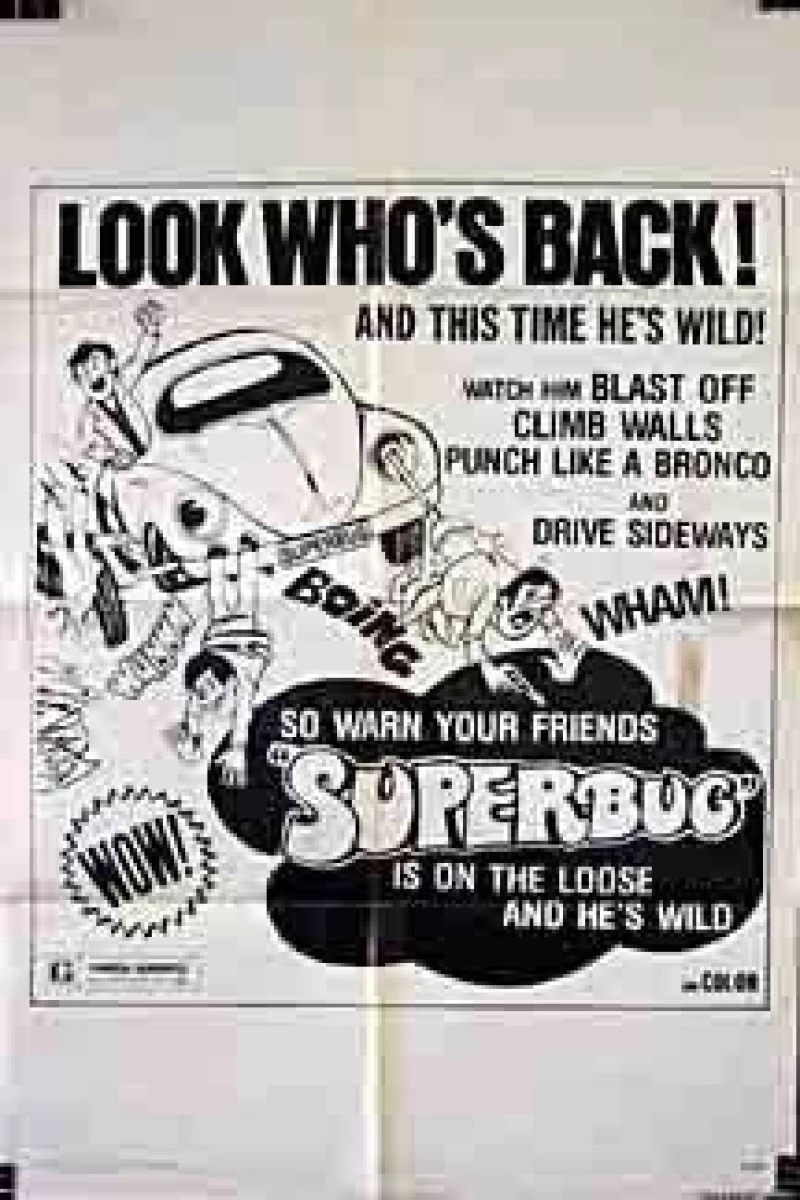 The Love Bug Rally (1971)