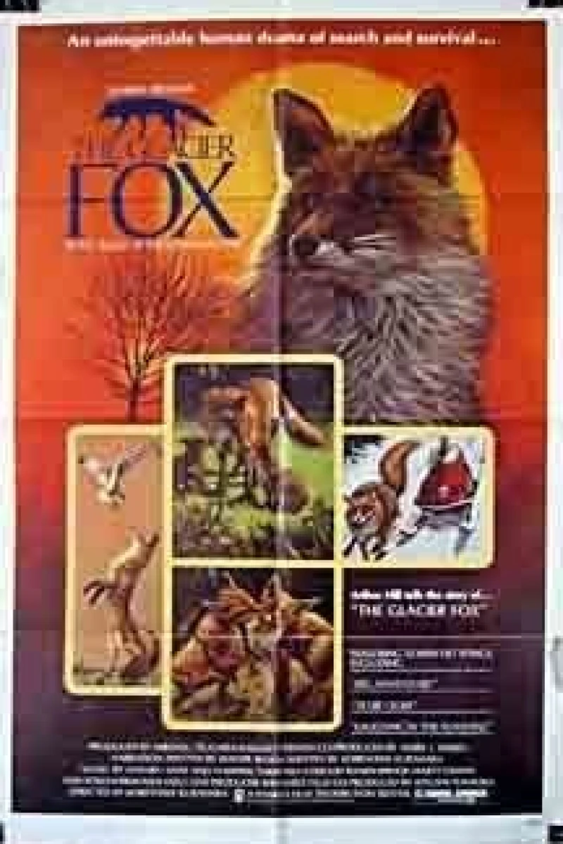 The Glacier Fox (1978)